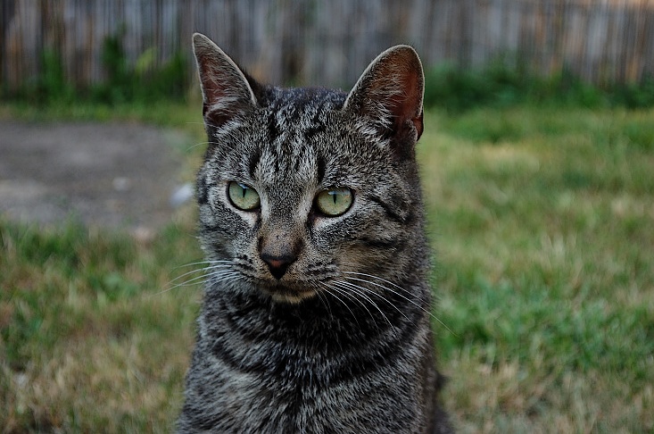 DSC_2585.jpg